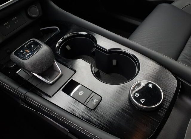
 Nissan Rogue full									