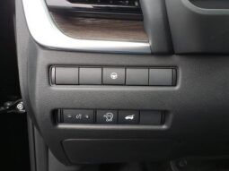 
 Nissan Rogue full									