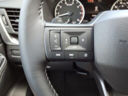 
 Nissan Rogue full									