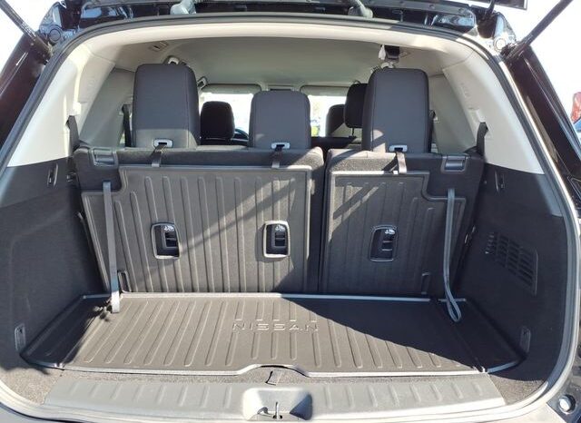 
 Nissan Pathfinder full									