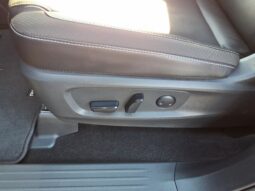 
 Nissan Pathfinder full									