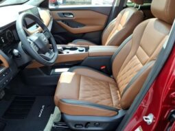 
 Nissan Rogue full									