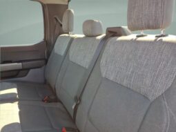 
 Ford F-150 full									