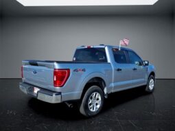 
 Ford F-150 full									