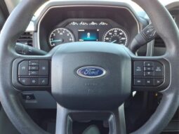 
 Ford F-150 full									