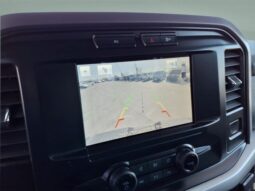 
 Ford F-150 full									