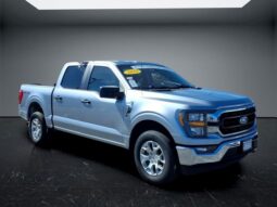 
 Ford F-150 full									
