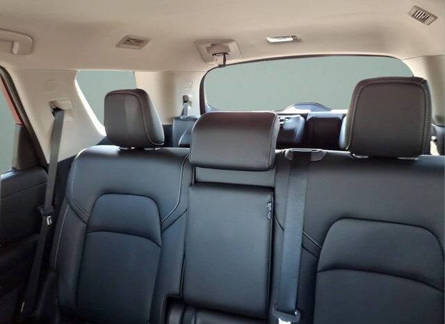 
 Nissan Pathfinder full									