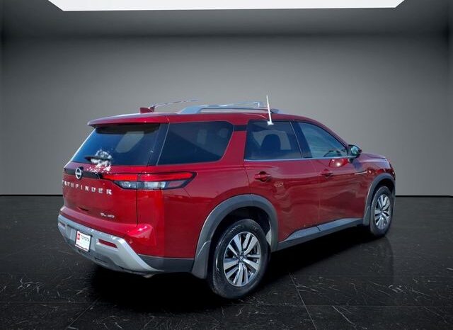 
 Nissan Pathfinder full									