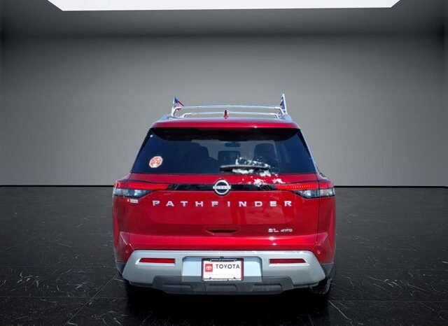 
 Nissan Pathfinder full									