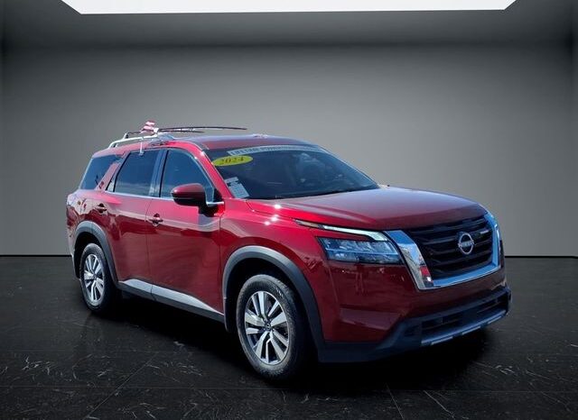 
 Nissan Pathfinder full									