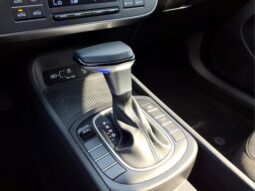 
 Hyundai Kona full									