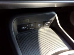 
 Hyundai Kona full									