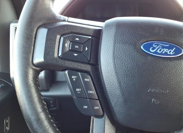 
 Ford F-150 full									