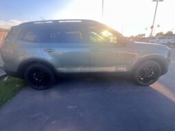
 Kia Telluride full									
