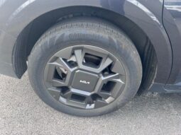 
 Kia Carnival Hybrid full									