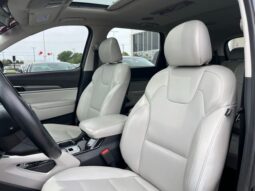 Kia Telluride full