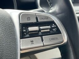 Kia Telluride full