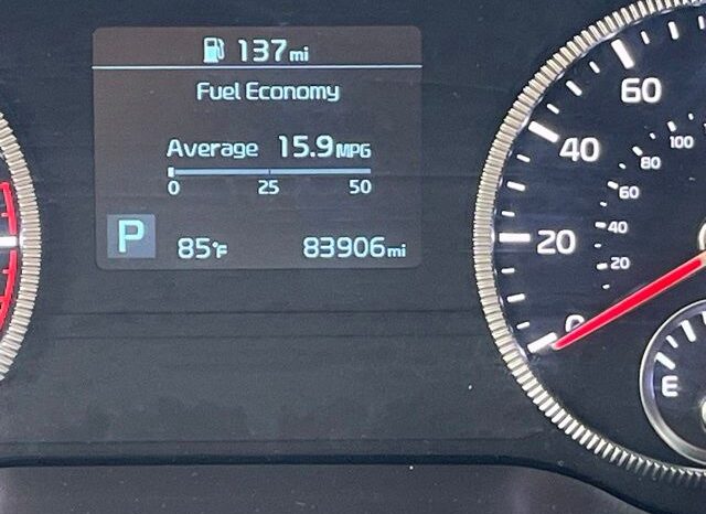 
 Kia Telluride full									