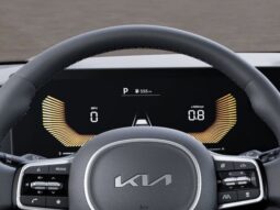 
 Kia Carnival Hybrid full									