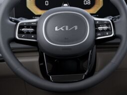 
 Kia Carnival Hybrid full									