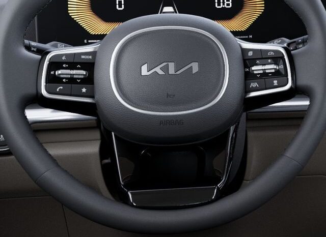 
 Kia Carnival Hybrid full									