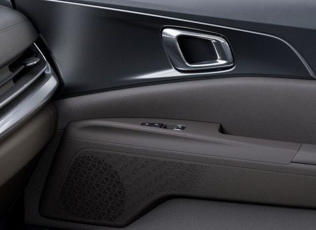 
 Kia Carnival Hybrid full									