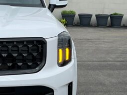 Kia Telluride full