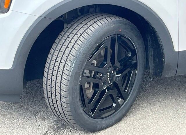 
 Kia Telluride full									