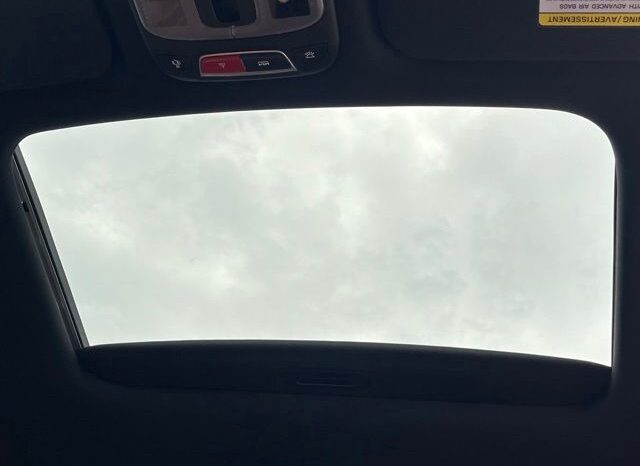 
 Kia Telluride full									