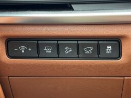 Kia Telluride full