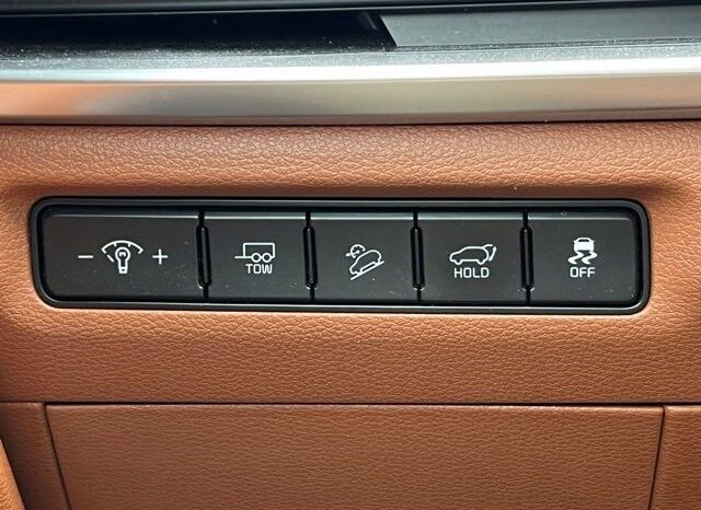 
 Kia Telluride full									