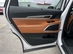 Kia Telluride full
