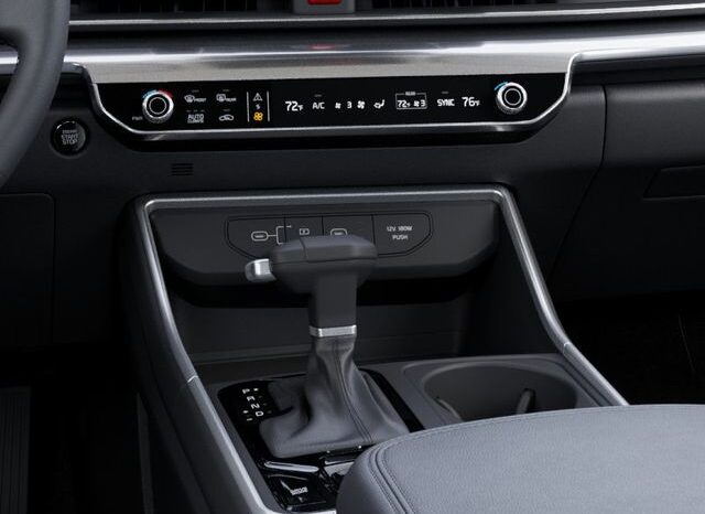 
 Kia Carnival full									