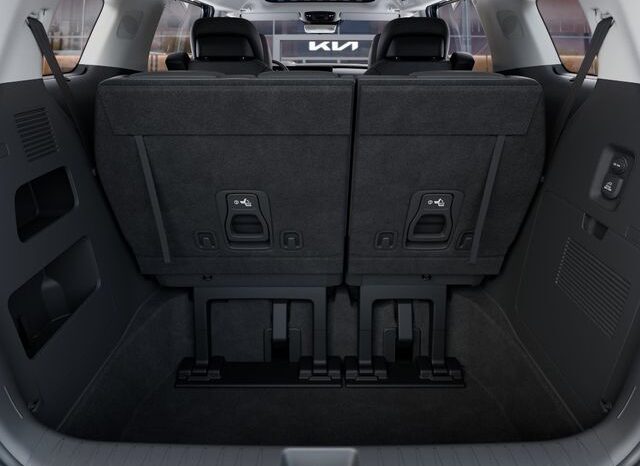 
 Kia Carnival full									