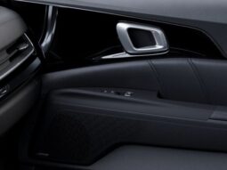 
 Kia Carnival full									