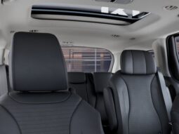 
 Kia Carnival full									