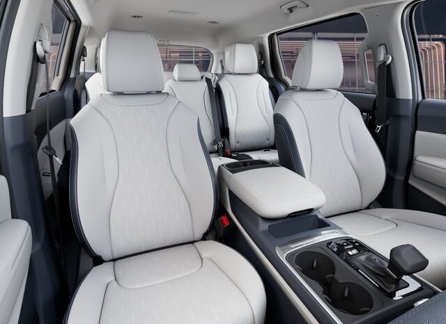 
 Kia Carnival full									