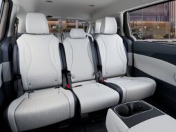 Kia Carnival full