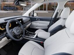 Kia Carnival full