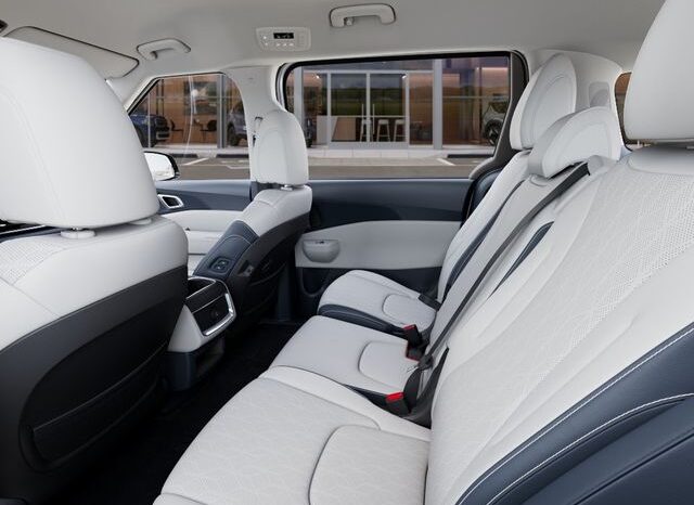 
 Kia Carnival full									