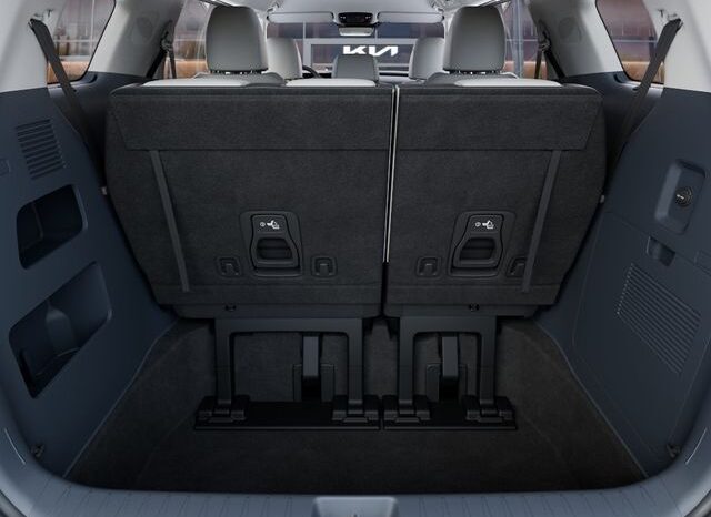 
 Kia Carnival full									