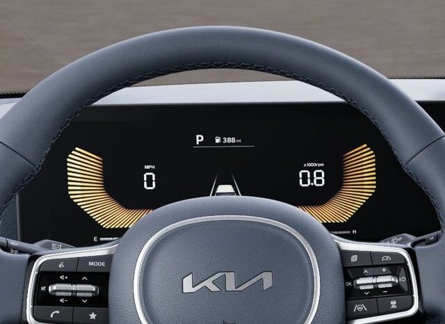 
 Kia Carnival full									