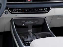 Kia Carnival full