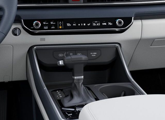 
 Kia Carnival full									