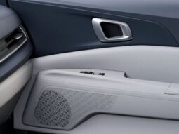 Kia Carnival full