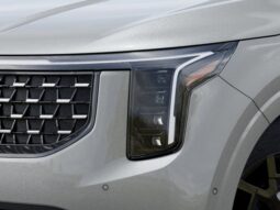 Kia Carnival Hybrid full
