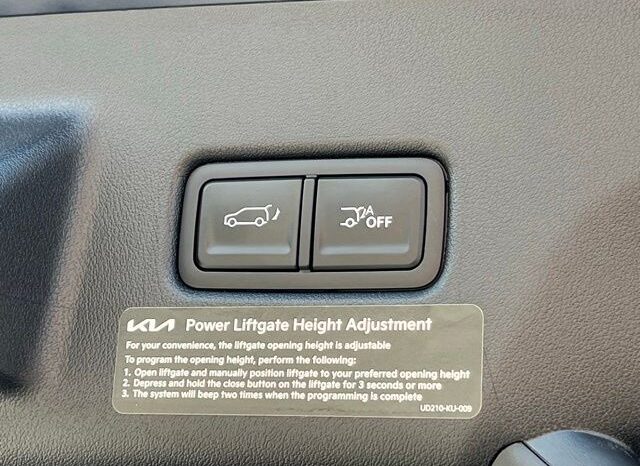 
 Kia Telluride full									