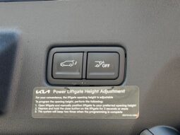 Kia Telluride full