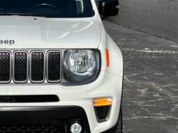 
 Jeep Renegade full									